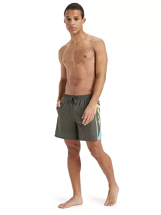 QUIKSILVER | Herren Beachshort Everyday Holmes 16" | grau